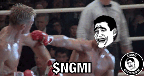A Picture Of Two Men Boxing With The Caption $ Ngmi GIF
