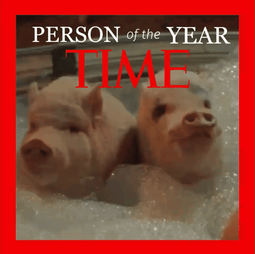 A Picture Of Two Pigs On The Cover Of A Time Magazine GIF