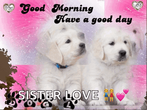 A Picture Of Two Puppies With The Words Good Morning Have A Good Day Sister Love On It GIF