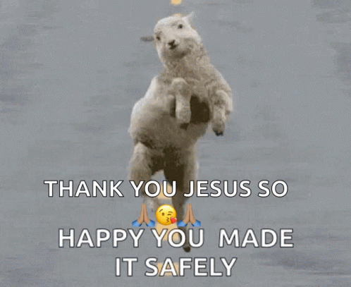 A Picture Of Two Sheep Jumping In The Air With The Words Thank You Jesus So Happy You Made It Safely GIF
