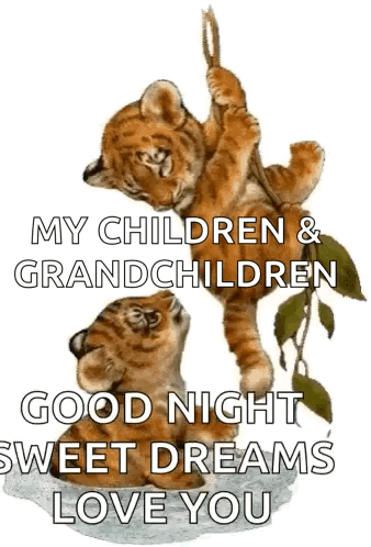 A Picture Of Two Tiger Cubs With The Words " My Children And Grandchildren Good Night Sweet Dreams Love You " On It GIF