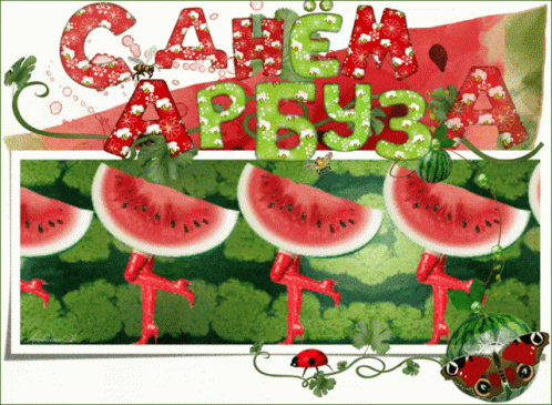 A Picture Of Watermelons With The Words " Cahem Ap3y3 " On Top GIF