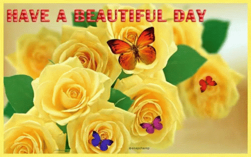 A Picture Of Yellow Roses And Butterflies With The Words Have A Beautiful Day GIF
