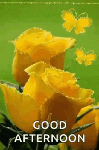 A Picture Of Yellow Roses With Butterflies Flying Around Them And The Words `` Good Afternoon '' . GIF