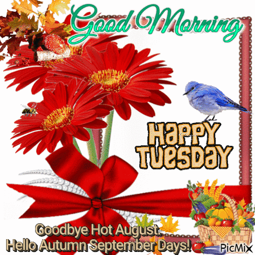 A Picture That Says Good Morning Happy Tuesday With Flowers And A Bird GIF