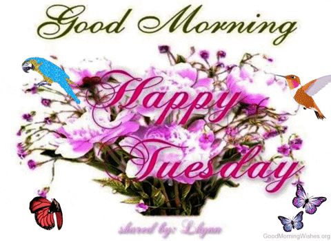 A Picture That Says Good Morning Happy Tuesday With Flowers And Butterflies GIF