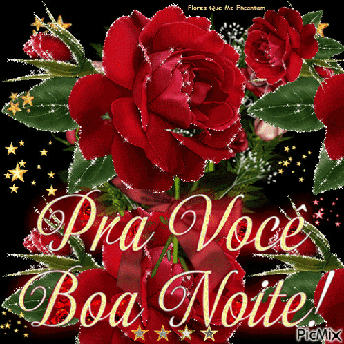 A Picture With Red Roses And The Words Pra Voce Boa Noite GIF