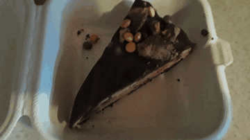 A Piece Of Chocolate Cake In A Styrofoam Box GIF