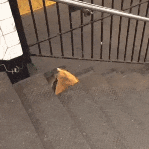 A Piece Of Paper Is Laying On The Steps Of A Staircase GIF