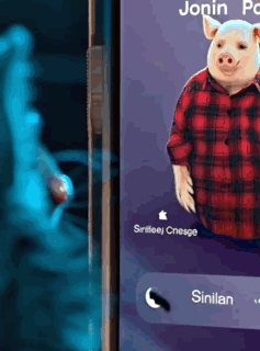 A Pig In A Plaid Shirt Is On The Phone Screen GIF