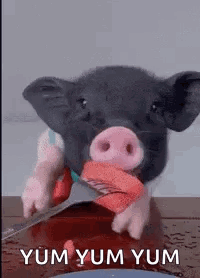 A Pig Is Holding A Knife In Its Mouth While Eating A Piece Of Meat . GIF