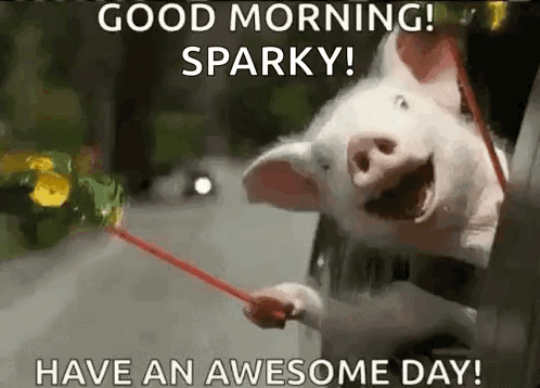 a pig is holding a stick in its mouth and says `` good morning sparky have an awesome day '' .