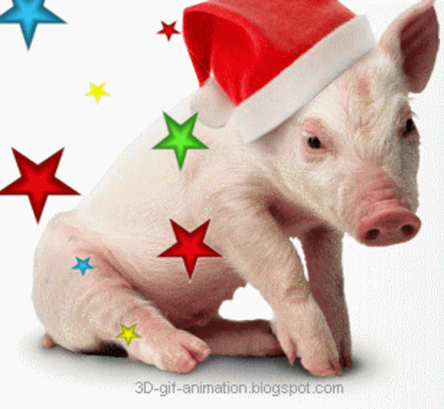 A Pig Is Wearing A Santa Hat With Stars Around It GIF