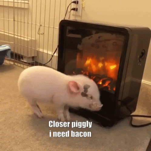 A Pig Standing In Front Of A Fireplace With The Words Closer Piggly I Need Bacon Below It GIF