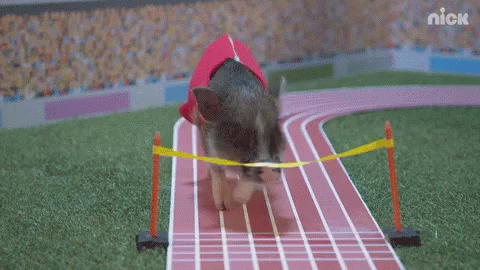 A Pig Wearing A Red Cape Is Running On A Track That Says Nick On The Bottom GIF