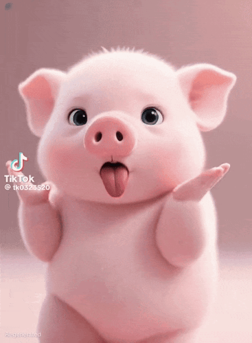 A Pig With Its Tongue Hanging Out Is On A Pink Background With Tiktok Written On The Bottom GIF