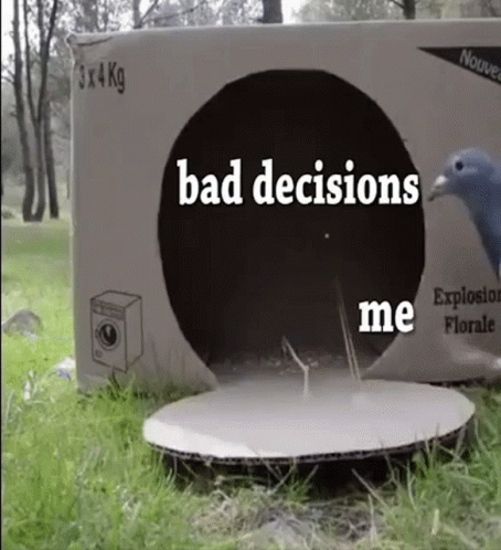 A Pigeon Is Jumping Out Of A Cardboard Box With The Words `` Bad Decisions '' Written On It . GIF