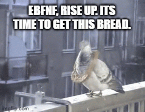 A Pigeon Is Sitting On A Railing With A Caption That Says Ebfnf Rise Up Its Time To Get This Bread . GIF