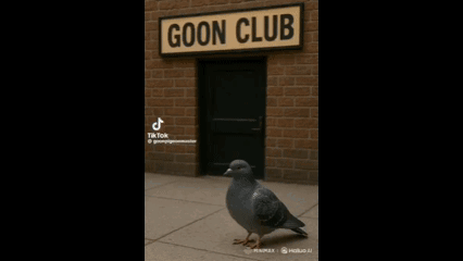 A Pigeon Is Standing In Front Of A Building With A Sign That Says Goon Club GIF