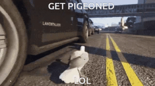 A Pigeon Laying On The Ground Next To A Car That Says Get Pigeoned GIF