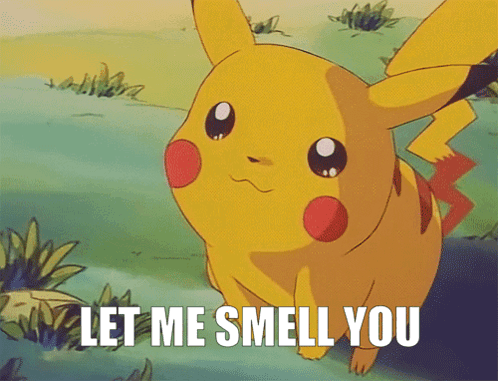 A Pikachu Says " Let Me Smell You " While Standing In The Grass GIF