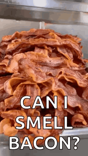 A Pile Of Bacon With The Words Can I Smell Bacon Written On It GIF