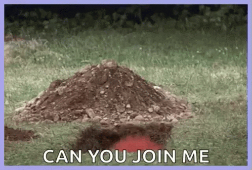 A Pile Of Dirt In The Grass With The Words `` Can You Join Me '' Above It . GIF