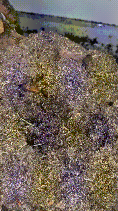 A Pile Of Dirt With A Lot Of Small Stones GIF