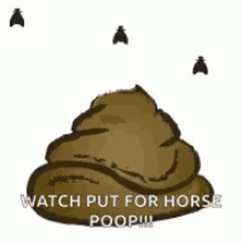 A Pile Of Poop With Two Flies Flying Around It And The Words Watch Put For Horse Poop . GIF
