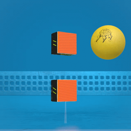 A Ping Pong Net With A Yellow Ball And Two Boxes That Say Strasse GIF