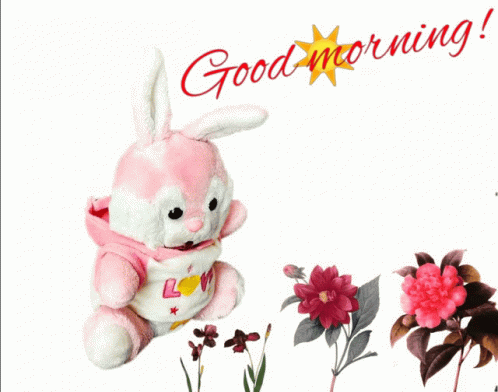 A Pink And White Stuffed Bunny With The Words Good Morning On It GIF