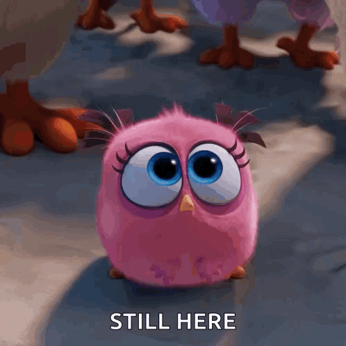 Pink Angry Bird Sitting And Saying Still Here GIF