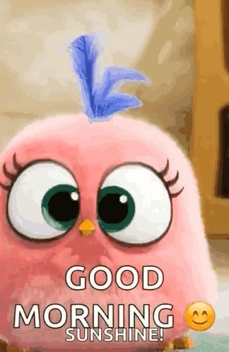 A Pink Angry Bird With A Blue Feather On Its Head Says Good Morning Sunshine GIF