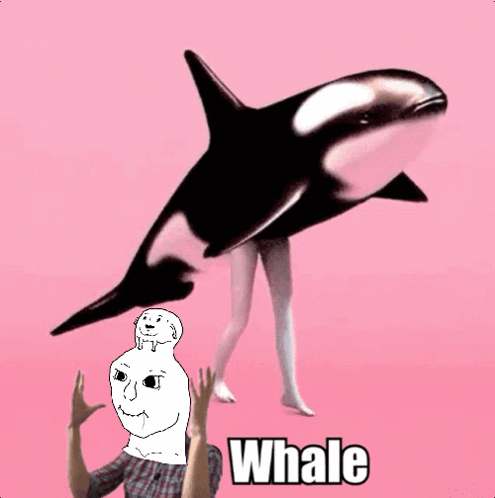 a pink background with a whale and a cartoon face