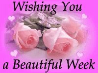 A Pink Background With Pink Roses And The Words Wishing You A Beautiful Week . GIF