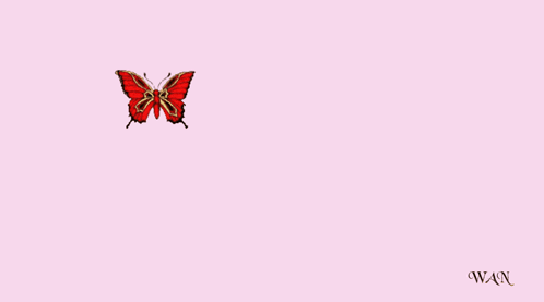 A Pink Background With Red Text That Says Love This And A Red Butterfly GIF