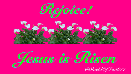 A Pink Background With The Words Rejoice Jesus Is Risen On It GIF