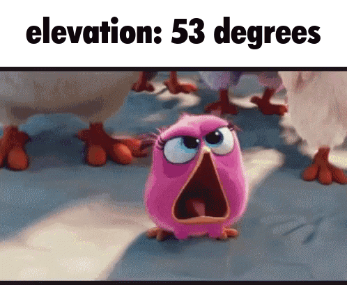 A Pink Bird With Its Mouth Open And The Words Elevation 53 Degrees GIF
