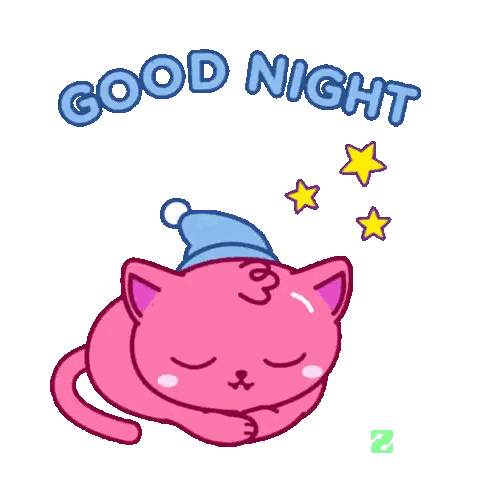 a pink cat with a hat on its head and the words good night above it