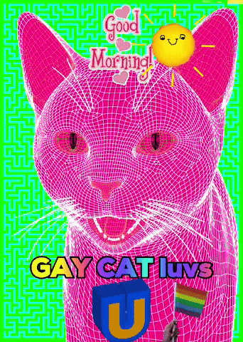 A Pink Cat With The Words Gay Cat Luvs Written On The Bottom GIF