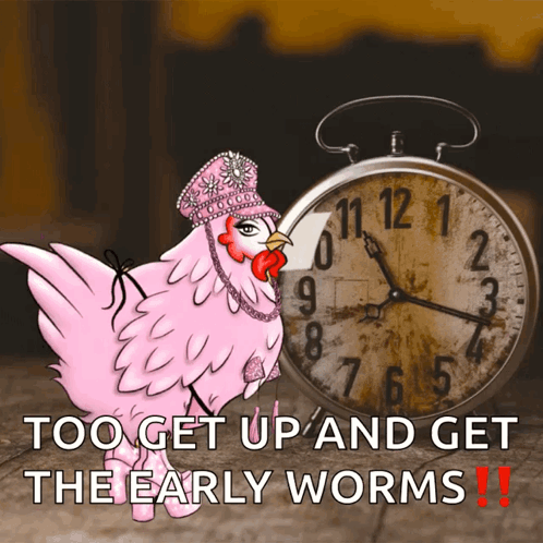 A Pink Chicken Standing Next To A Clock With The Words " Too Get Up And Get The Early Worms " GIF