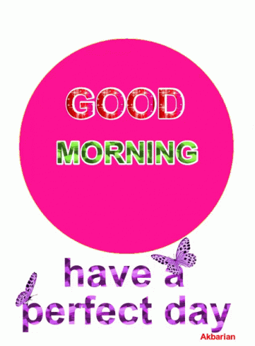 a pink circle with the words good morning have a perfect day written on it