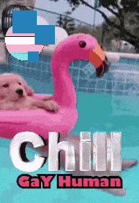 A Pink Flamingo Floats In A Swimming Pool With The Words Chill Gay Human On The Bottom GIF