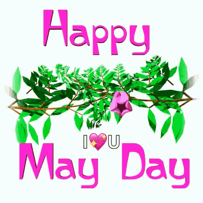 A Pink Flower Is Surrounded By Green Leaves And The Words `` Happy May Day '' GIF