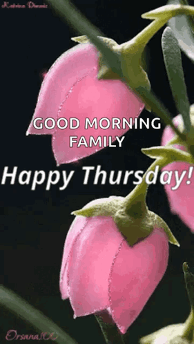 A Pink Flower With The Words Good Morning Family Happy Thursday Written On It GIF