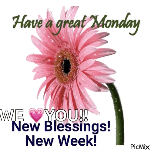 A Pink Flower With The Words Have A Great Monday GIF