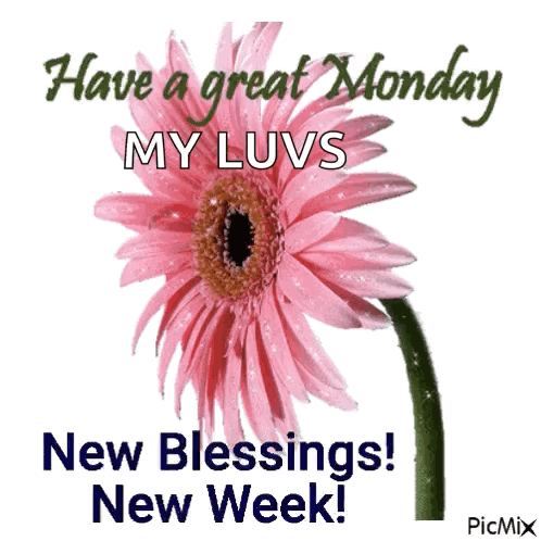A Pink Flower With The Words Have A Great Monday My Luvs New Blessings New Week On It GIF