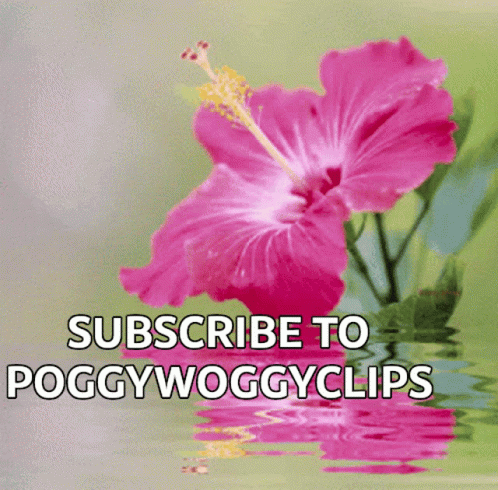 A Pink Flower With The Words " Subscribe To Poggywoggyclips " Below It GIF