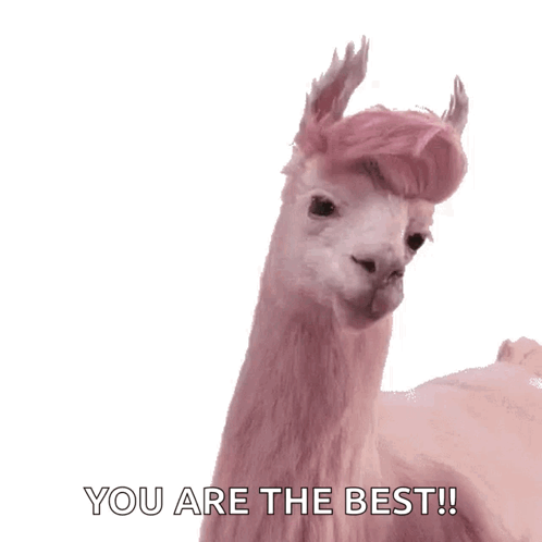 A Pink Llama Says " You Are The Best " On A White Background GIF