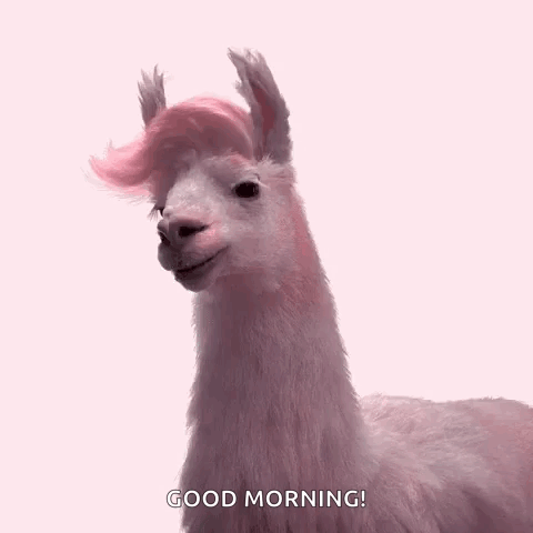 A Pink Llama With A Pink Wig Is Standing On A Pink Background And Says Good Morning . GIF